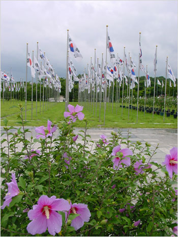 광복절을 앞둔 독립기념관에 무궁화와 태극기가 조화를 이루고 있다. 